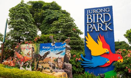  Singapore Bird Park Sentosa(3N&4D)