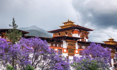 Bhutan Cultural Tour – 5N/6D