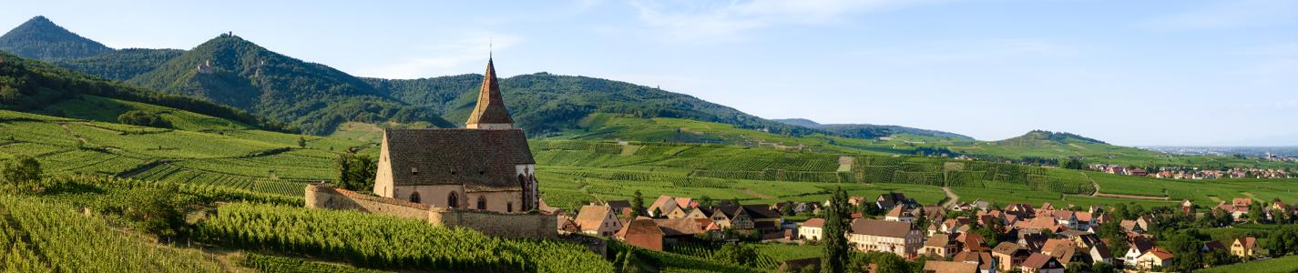 Summer sunset view of the medieval church of Saint-Jacques-le-Major in Hunawihr, small village between the vineyards of Ribeauville, Riquewihr and Colmar in Alsace, wine making region of France