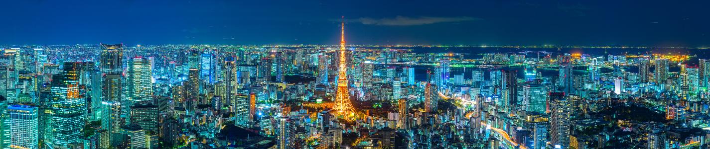 Tokyo skyline panorama,  Japan.