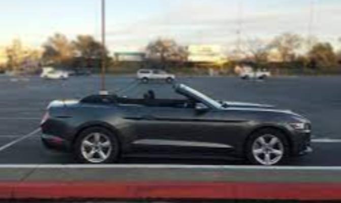 Car rental company of Spain