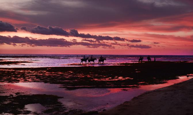 Horse ride at the sunset